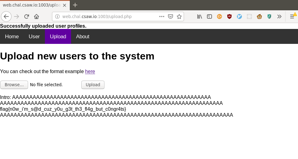 Screenshot of User page displaying the flag after our uploaded exploit