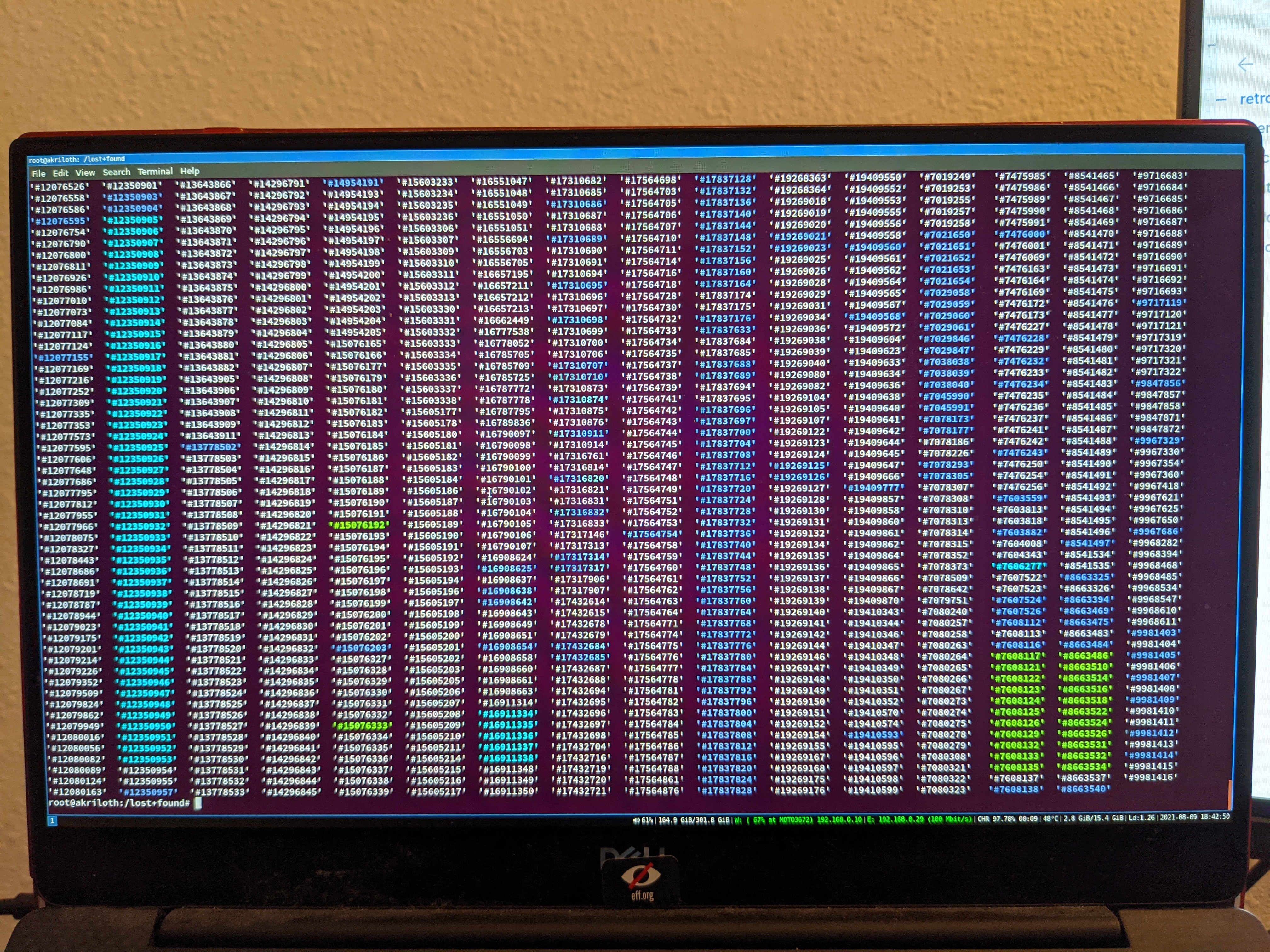 Terminal in the /lost+found directory, which is full of files. Picture of screen.